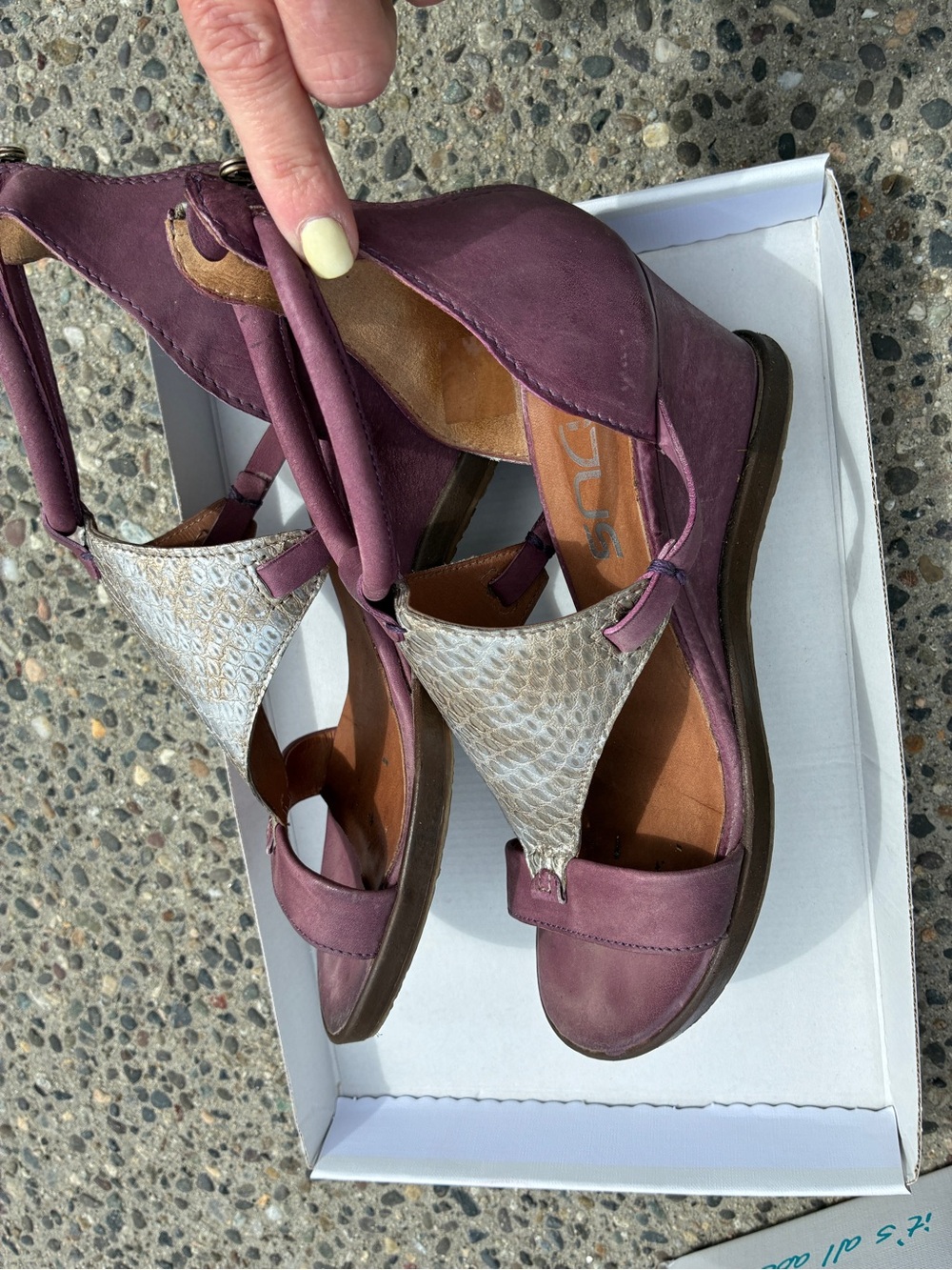 MJUS - Plum Leather Sandals with Snake-Print T Panel - Picture 6 of 7